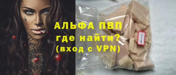 сатива Аркадак