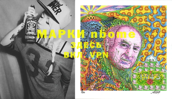 сатива Аркадак