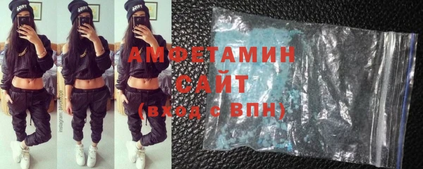 сатива Аркадак