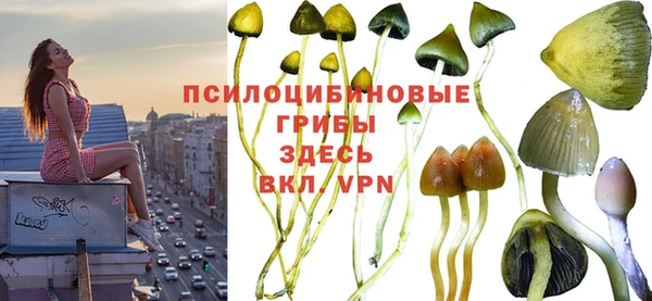 сатива Аркадак