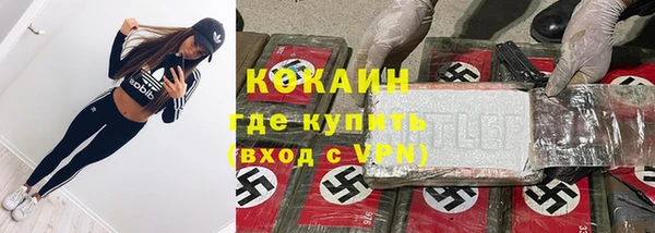сатива Аркадак