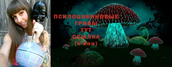 сатива Аркадак